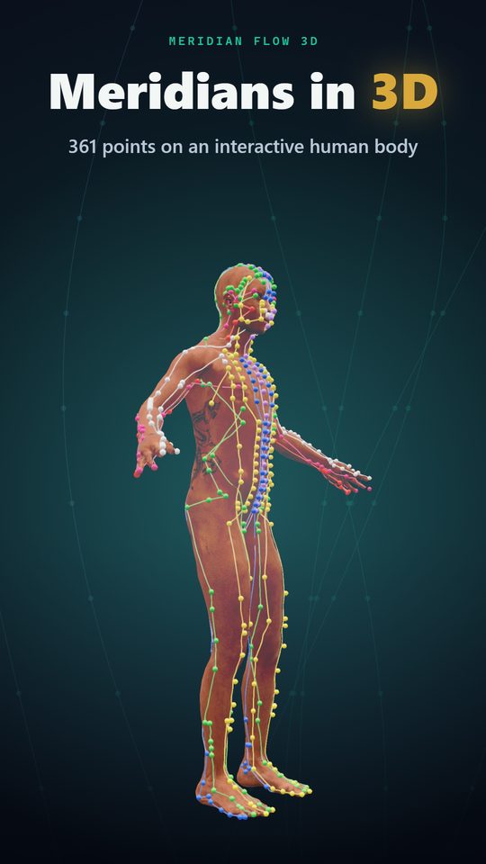 Meridians in 3D — 361 points on an interactive human body