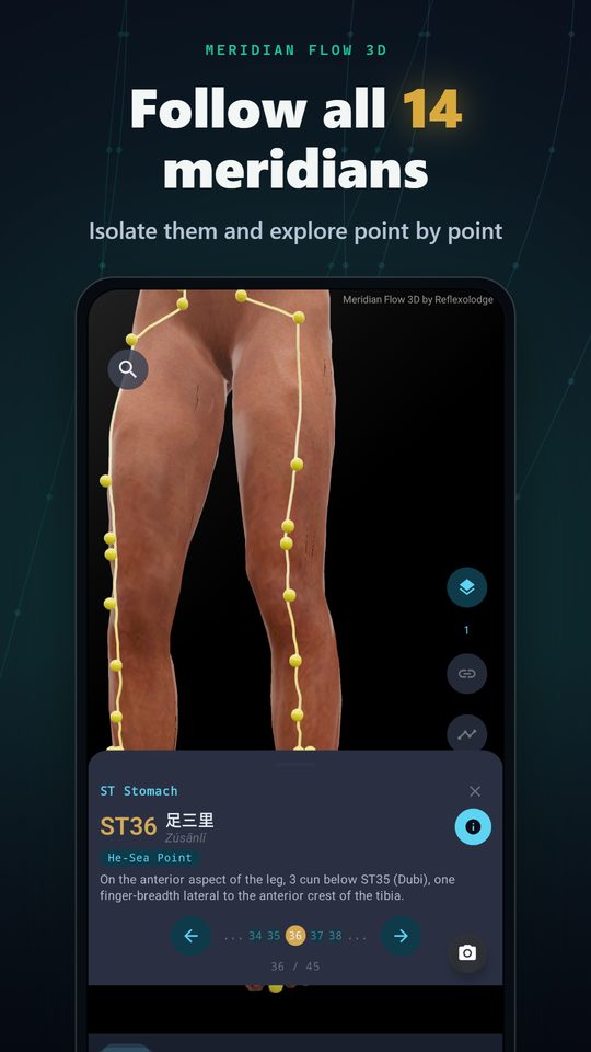 Follow all 14 meridians — Isolate them and explore point by point