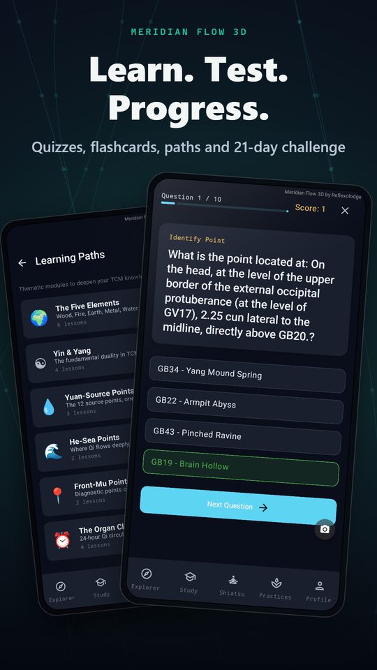 Learn. Test. Progress. — Quizzes, flashcards, paths and 21-day challenge