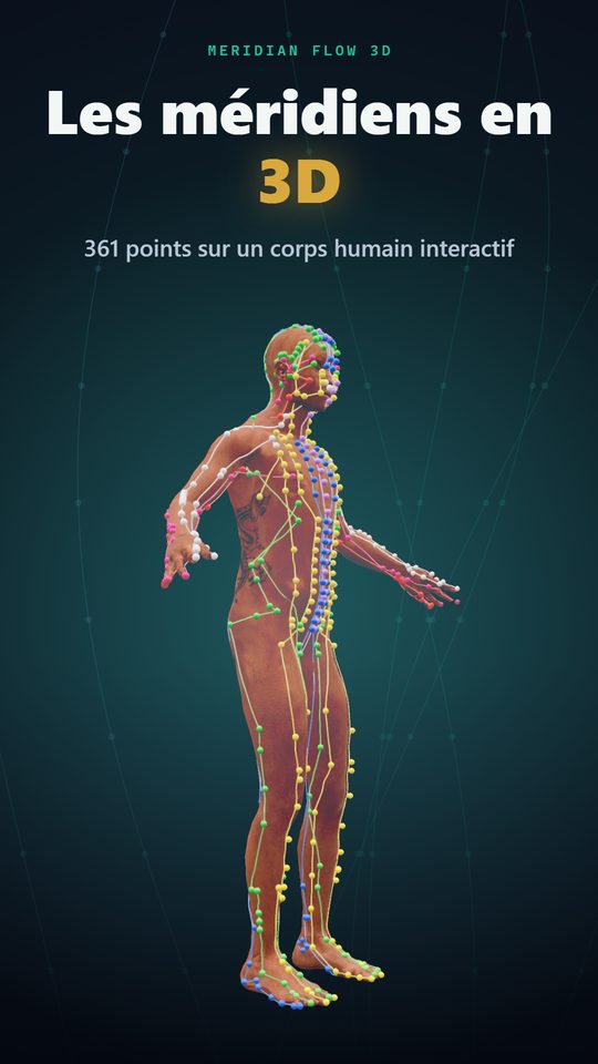 Les méridiens en 3D — 361 points sur un corps humain interactif
