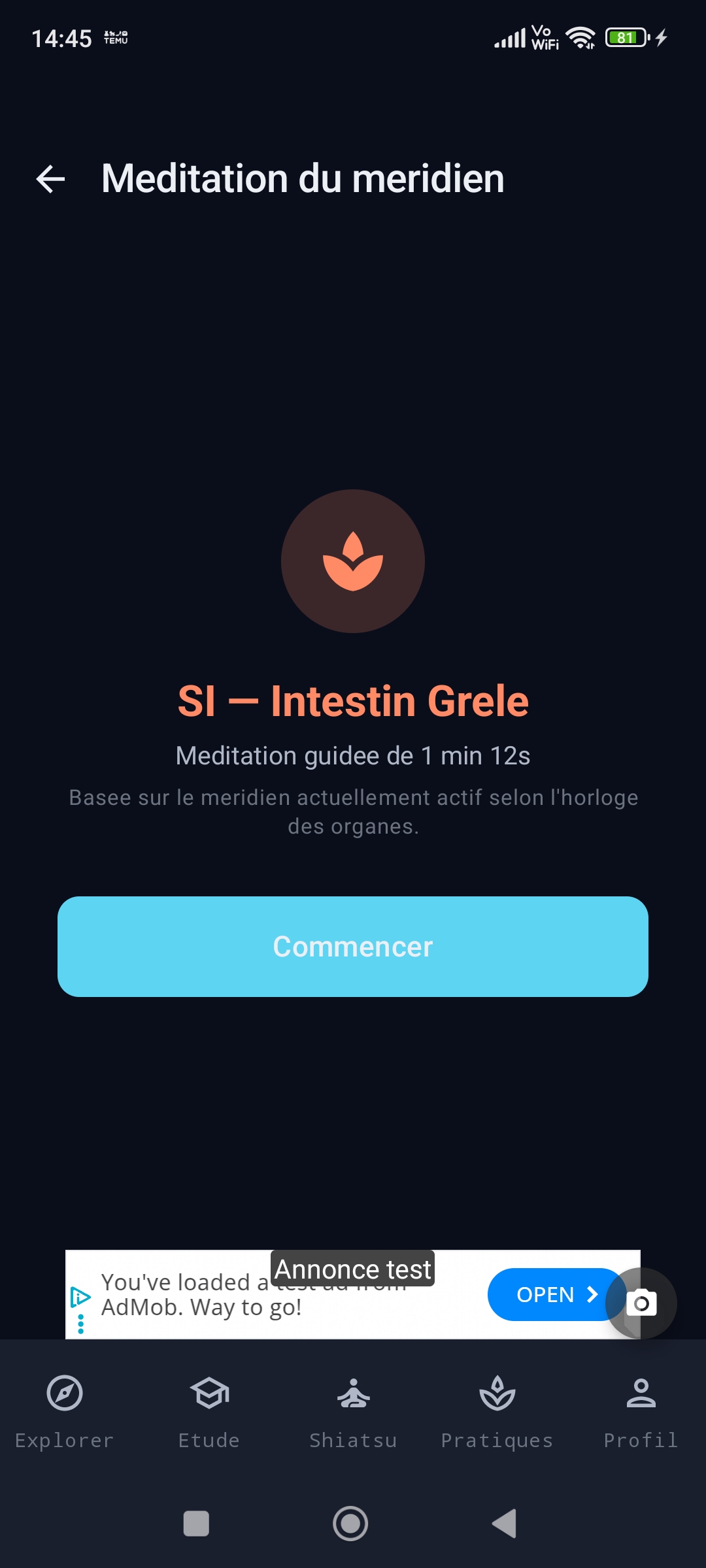 Méditation par méridien